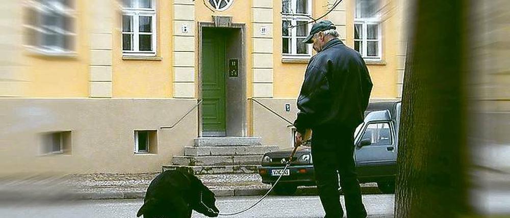 Unter Beobachtung. Ob Hundehalter die Hinterlassenschaften ihres vierbeinigen Lieblings entsorgen, wird künftig verstärkt kontrolliert.