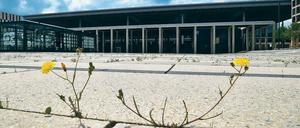 In der Warteschleife. Mittlerweile sprießt bereits Unkraut aus den Betonfugen auf dem Willy-Brandt-Platz vor dem Terminal des Hauptstadtflughafens BER in Schönefeld.