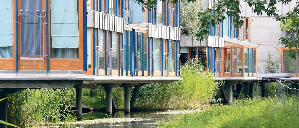 Trügerische Idylle. Die Wohnanlage „Nutheschlange“ ist wegen der ruhigen Innenhoflage bei Familien sehr beliebt. Doch der Teich birgt große Gefahren für Kinder, wie sich jetzt zeigt.