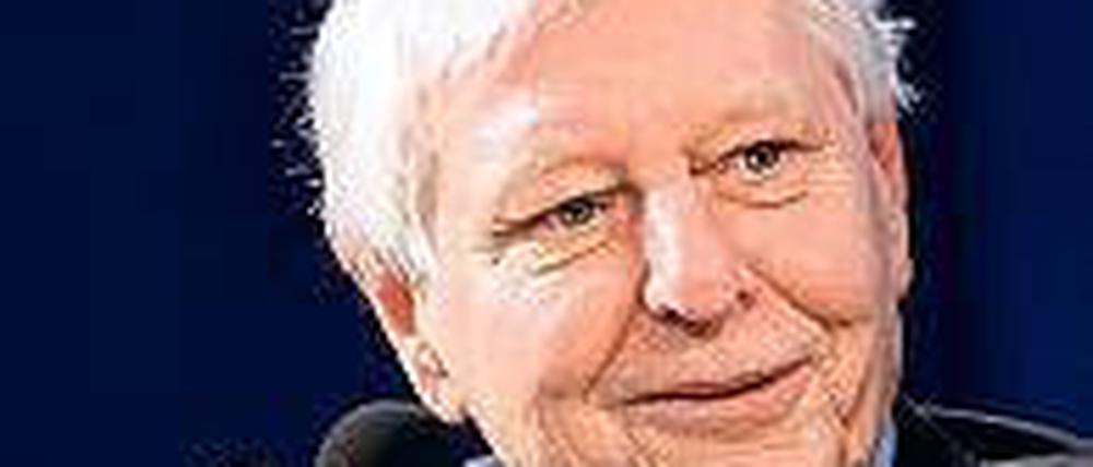 Ein kluger Querulant. Der Schriftsteller Hans Magnus Enzensberger.