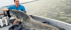 Kurz vor dem großen Gewitter. Leo zog den Wels am Samstagabend aus der Havel – an sich war er für einen so großen Fang gar nicht ausgestattet. Der 26-Jährige leitet seit fünf Jahren den Anglermarkt „Angeljoe“ in Potsdam.