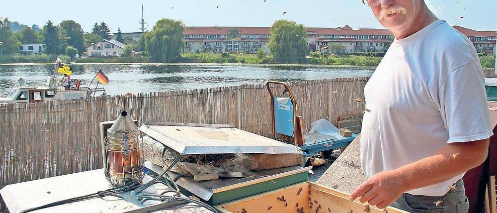 Es schwirrt an Deck. Frank George fährt mit seinen Bienen auf der Havel.