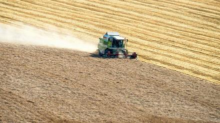 Satt gedüngt. Große Mengen Phosphor wandern als Dünger in die Ackerböden. Das Mineral ist für das Pflanzenwachstum unabdingbar. Die weltweiten Vorkommen des Nährstoffes sind begrenzt. Nun fordern Forscher, neue Verfahren zur Rückgewinnung zu entwickeln.