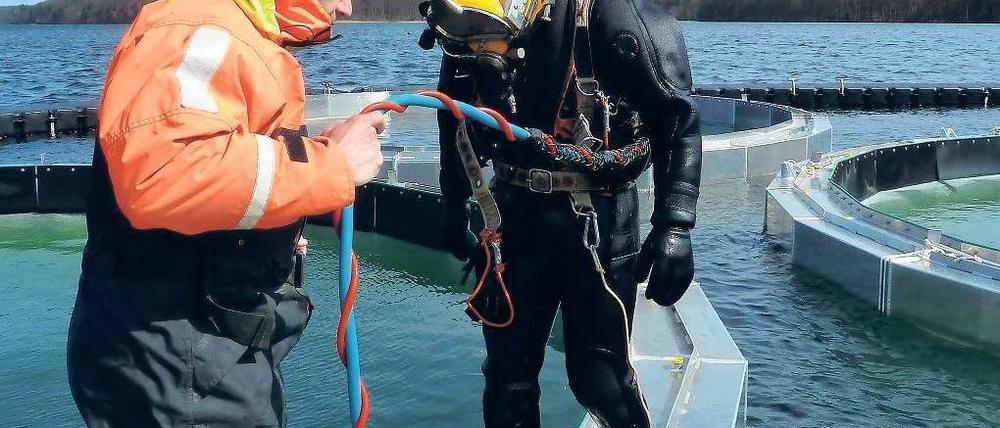 Auf Tauchstation. Wissenschaftler des Berliner Leibniz-Instituts für Gewässerökolgie und Binnenfischerei arbeiten auf einer Forschungsplattform auf dem Stechlinsee in Brandenburg.