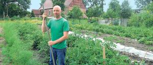 Seine Furche. Landwirt Volker Schriefer steht am 11.07.2014 in seinem Gemüsefeld in Fergitz (Brandenburg). Er hat wie andere Junglandwirte in Brandenburg Schwierigkeiten, freie Flächen für die Existenzgründung zu finden.  