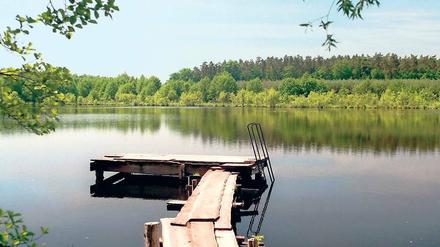 Ein Ort der Stille. Kaum ein anderes Naturbild nimmt so klar und berührend die Stille auf wie ein See, hier im Biosphärenreservat Schorfheide-Chorin.