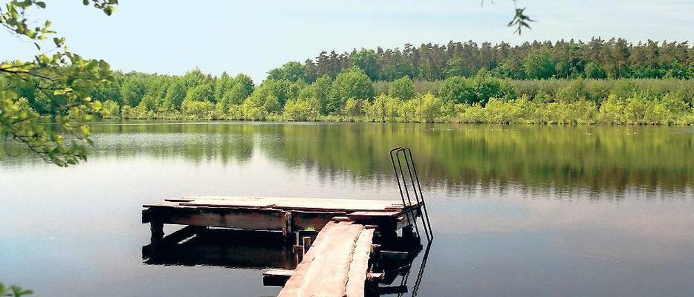 Ein Ort der Stille. Kaum ein anderes Naturbild nimmt so klar und berührend die Stille auf wie ein See, hier im Biosphärenreservat Schorfheide-Chorin.