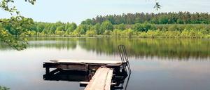 Ein Ort der Stille. Kaum ein anderes Naturbild nimmt so klar und berührend die Stille auf wie ein See, hier im Biosphärenreservat Schorfheide-Chorin.