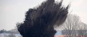 So ähnlich könnte es am Dienstag im Wildpark Potsdam aussehen. Dann wird dort eine Granate gesprengt.