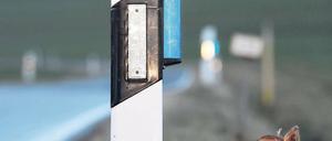 Ideal. Das Reh, hier im Bild eine Puppe, rennt nicht auf die Fahrbahn.