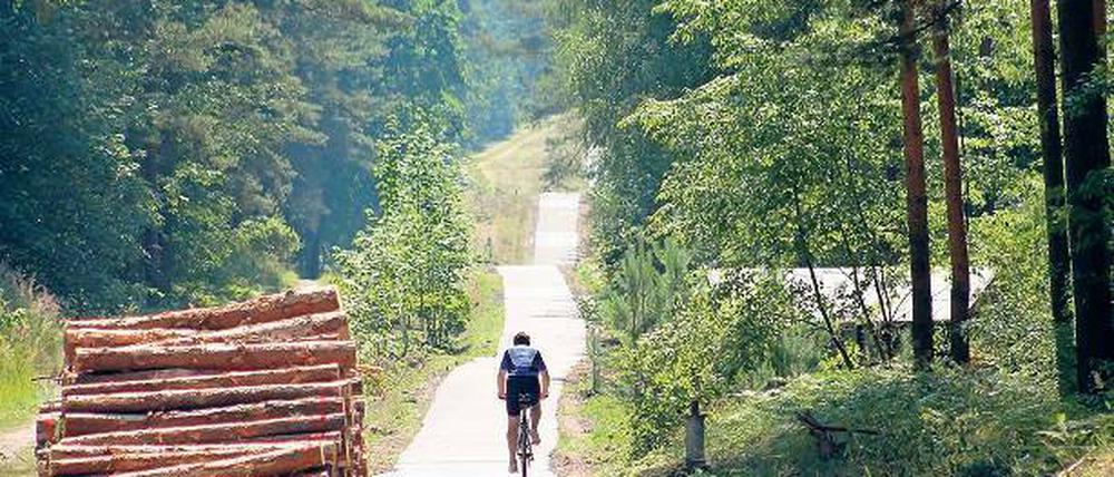 Wieder freie Fahrt. Der Radweg führt durch den märkischen Wald.