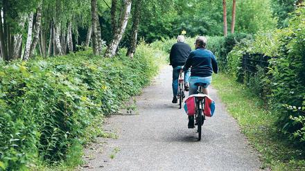 Gefangen im Grün. Dichtes Gestrüpp versperrt den Radfahrern am Groß Glienicker See den Weg. Auch der Blick nach links geht bald nur noch ins Grüne und nicht mehr auf den See, denn Anwohner pflanzen Hecken, um ihre privaten Ufergrundstücke abzuriegeln.