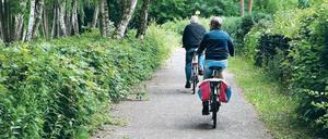 Gefangen im Grün. Dichtes Gestrüpp versperrt den Radfahrern am Groß Glienicker See den Weg. Auch der Blick nach links geht bald nur noch ins Grüne und nicht mehr auf den See, denn Anwohner pflanzen Hecken, um ihre privaten Ufergrundstücke abzuriegeln.