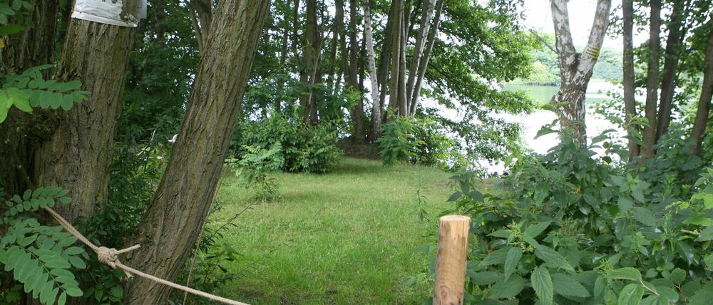 Der Uferweg am Groß Glienicker See.
