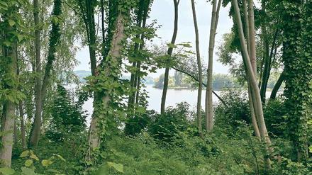Mit Blick auf den Jungfernsee. In der Bertinistraße trafen sich die Enthusiasten um Erich Gutkind und gründeten den Forte-Kreis.