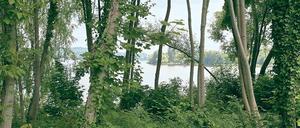 Mit Blick auf den Jungfernsee. In der Bertinistraße trafen sich die Enthusiasten um Erich Gutkind und gründeten den Forte-Kreis.