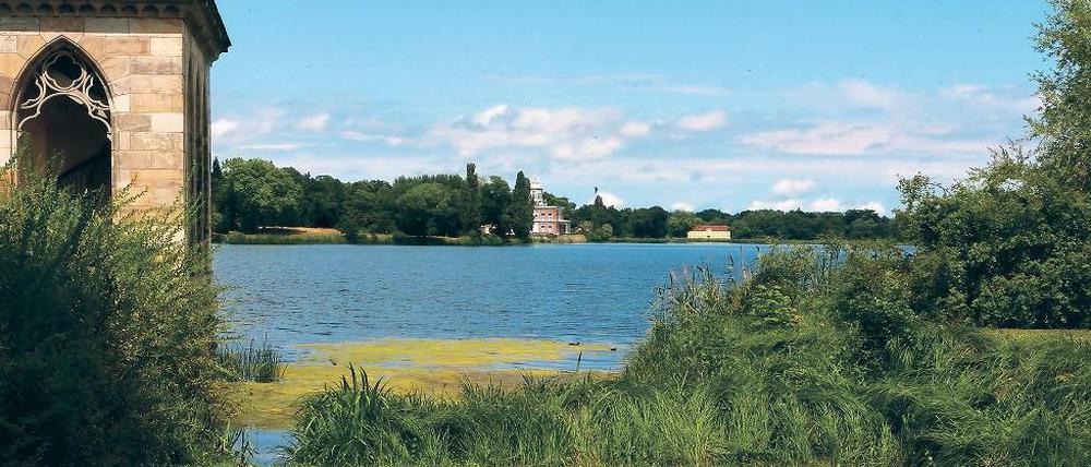 Nicht mehr gefährdet: Der Heilige See hat sich laut dem brandenburgischen Landesumweltamt zu einem Vorbild für eine gelungene See-Sanierung entwickelt. Unter anderem wurde die Straßenentwässerung im Umfeld neu geregelt. Noch vor fünf Jahren war befürchtet worden, der See könne umkippen.