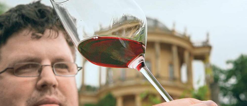 Die Schwebteilchen sinken langsam. Andreas Kramp prüft den Wein.