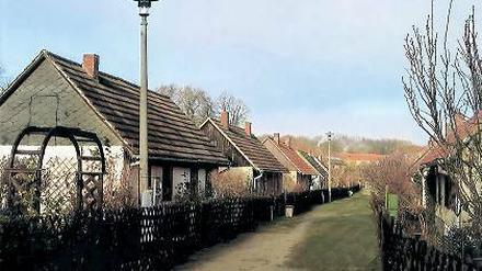 Ab durch die Gärten. Der Weg zur Uni führte damals durch Kleingärten.
