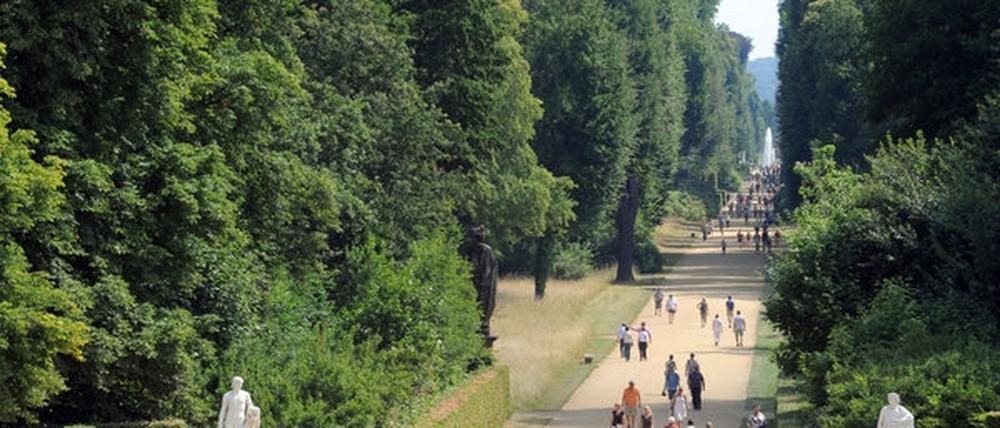 Lustwandeln im Park Sanssouci. Jetzt sollen die Bürger entscheiden, ob der Spaß kostenlos bleibt.