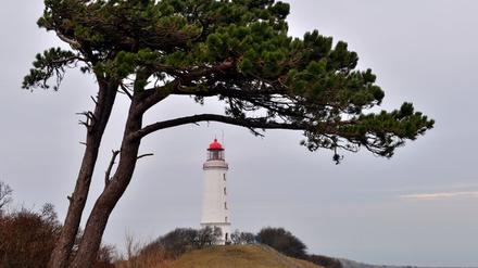 Irgendwo bei Hiddensee soll der Paddler zuletzt gesehen worden sein.