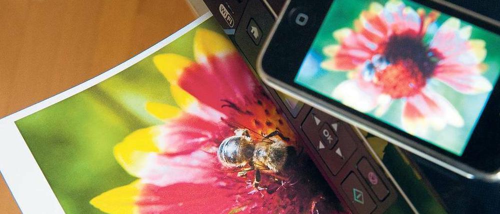 Immer in Verbindung. Die großen Druckerhersteller wie Canon oder Hewlett Packard bieten für mobile Geräte entsprechende Apps an, die auf Smartphones oder Tablets installiert werden.