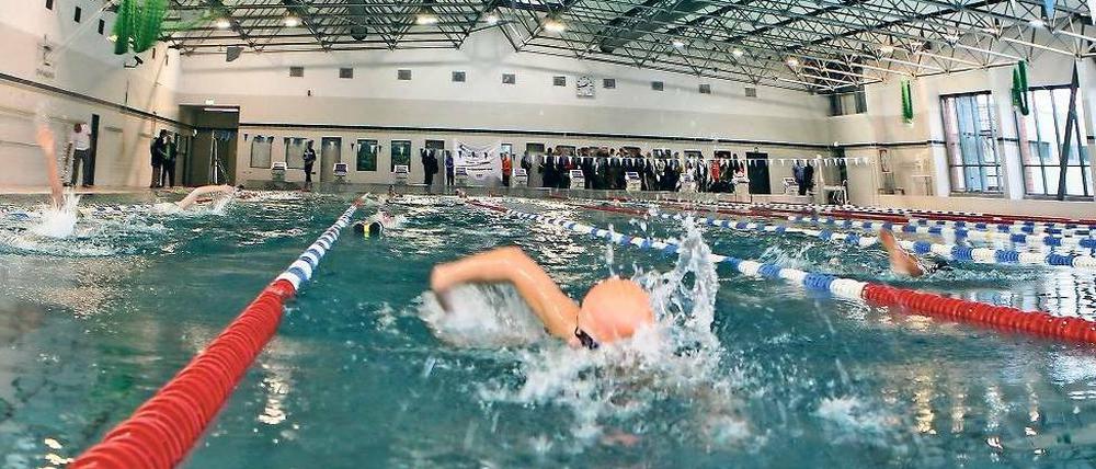Freie Bahn: Schwimmer im Becken der am Mittwoch wiedereröffneten Schwimmhalle am Luftschiffhafen. Die für den Standort sehr wichtige Halle musste saniert werden und war deswegen sechs Monate geschlossen.