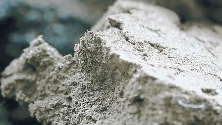 Beschleuniger. Biokohle kann Probleme in Biogasanlagen reduzieren.
