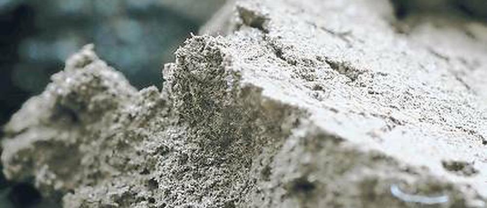 Beschleuniger. Biokohle kann Probleme in Biogasanlagen reduzieren.