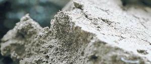 Beschleuniger. Biokohle kann Probleme in Biogasanlagen reduzieren.