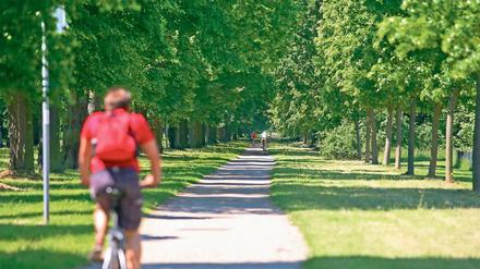 Ausbau genehmigt. Die Lindenallee zwischen Neuem Palais und Golm soll zum Radschnellweg ausgebaut und asphaltiert werden. Die Bedenken der Denkmalschützer an der Asphaltbahn im Unesco-Welterbe sind durch einen Ministerentscheid zurückgewiesen worden. Die Bauvorbereitungen haben bereits begonnen, teilte die Stadt mit.