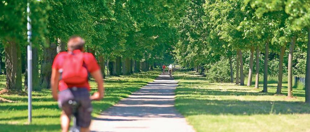 Ausbau genehmigt. Die Lindenallee zwischen Neuem Palais und Golm soll zum Radschnellweg ausgebaut und asphaltiert werden. Die Bedenken der Denkmalschützer an der Asphaltbahn im Unesco-Welterbe sind durch einen Ministerentscheid zurückgewiesen worden. Die Bauvorbereitungen haben bereits begonnen, teilte die Stadt mit.