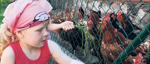 Landpartie in Beelitz. Manche der Besucher wollen auch länger bleiben.