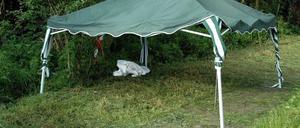 Ein Pavillon der Polizei markiert den Fundort der Babyleiche in Friedrichsthal.
