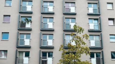 Beliebte Bleibe. Die Potsdamer Studentenappartements erfreuen sich steigender Nachfrage. An den Wohnheimen in der Breiten Straße (Foto) werden noch bis zum Sommer Sanierungsarbeiten vorgenommen.
