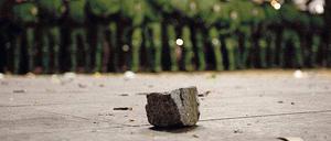 Ungenutzt? Sogar die Anmelder der Maidemo rufen zu Besonnenheit auf.