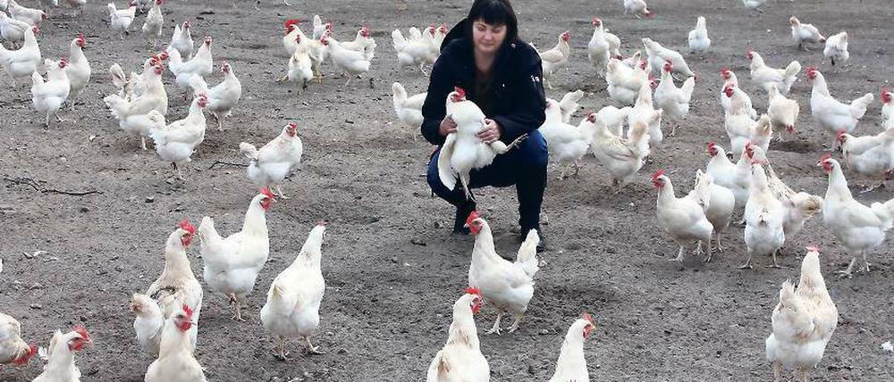 Streicheleinheit fürs Huhn. Je besser es den Tieren geht, umso mehr Eier legen sie. Jeden Tag isst Sabine Kimmel ein Frühstücksei, geschadet hat es ihrem Cholesterinwert nicht.