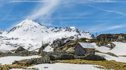 Berglandschaft mit Virus.