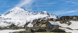 Berglandschaft mit Virus.