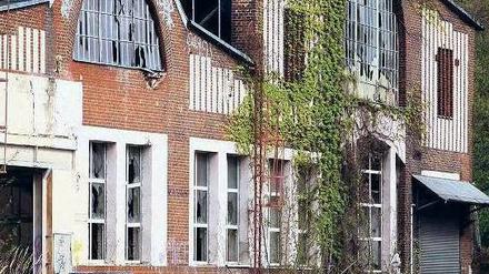 Spröder Charme. 1912 gebaut, steht die „Neue Halle“ des ehemaligen Reichsbahnausbesserungswerks für Potsdams Eisenbahngeschichte. Doch seit Jahren rottet das denkmalgeschützte Gebäude vor sich hin. Nun könnte es eine neue Chance geben.
