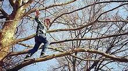 Besser unbelaubt: Der Sänger der Mighty Oaks hat Heuschnupfen.