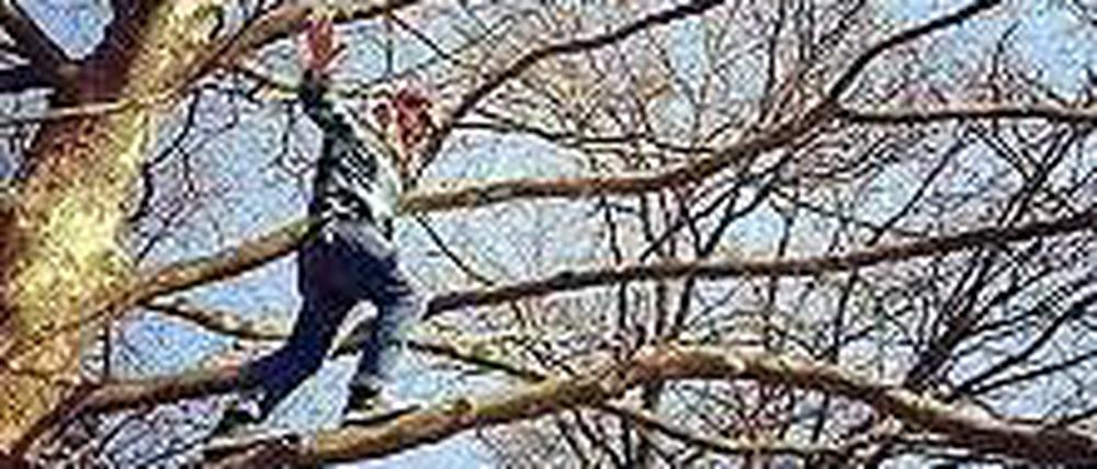 Besser unbelaubt: Der Sänger der Mighty Oaks hat Heuschnupfen.