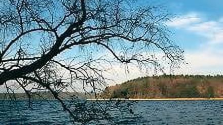 Kleiner Ort mit großer Wirkung: Der Stechlinsee im Norden Berlins.