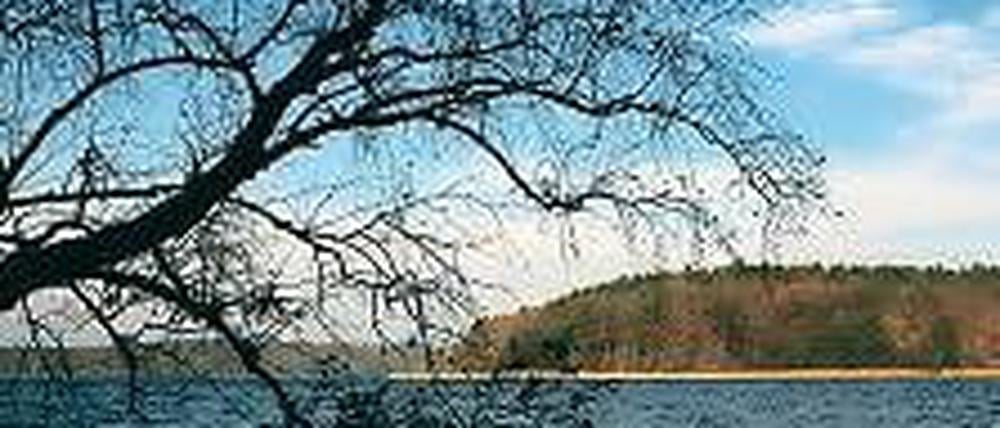 Kleiner Ort mit großer Wirkung: Der Stechlinsee im Norden Berlins.