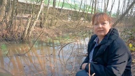 Trübe Brühe. Auf der Oberfläche des geschützten Moorgebietes „Hartes Fenn“ schwimmen unweit der neuen Lärmschutzwände zur Güterfelder Ortsumfahrung verdächtig schillernde Flecken. Deshalb ist Regina Schwarz auch in Sorge um das Grundwasser.