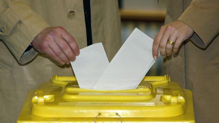 Für die Potsdamer FDP hat der Kommunalwahlkampf schlecht begonnen.