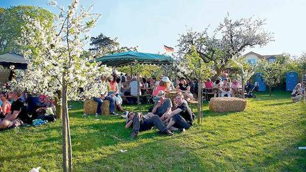Ausgeruht. Auf den Obstplantagen rund um Werder geht es zur Baumblüte noch entspannt zu. Mit dem Sicherheitskonzept will die Stadt dafür sorgen, dass es auch bei den Touristenmassen in der Innenstadt friedlich bleibt.
