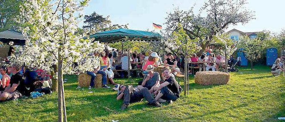 Ausgeruht. Auf den Obstplantagen rund um Werder geht es zur Baumblüte noch entspannt zu. Mit dem Sicherheitskonzept will die Stadt dafür sorgen, dass es auch bei den Touristenmassen in der Innenstadt friedlich bleibt.