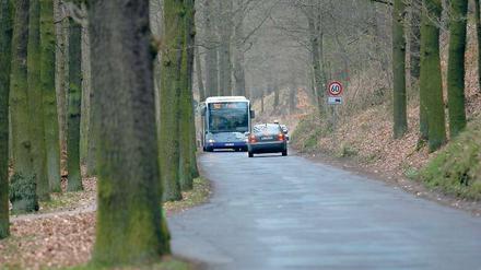 Engpass. Beim Uferstraßen-Ausbau ist der Erdhang der Knackpunkt. Er müsste für eine breitere Straße abgetragen werden.