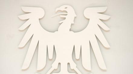 Unschuldige Kunst, dem Farbrausch der Öffentlichkeit ausgesetzt. Um die Farbe des Adlers im Brandenburger Landtag wird heftig gestritten.